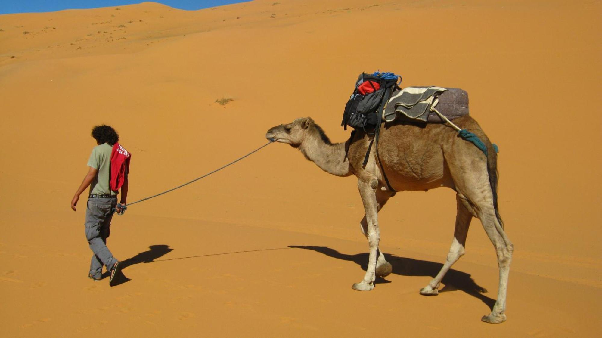 Auberge Camping Ocean Des Dunes Merzouga Dış mekan fotoğraf