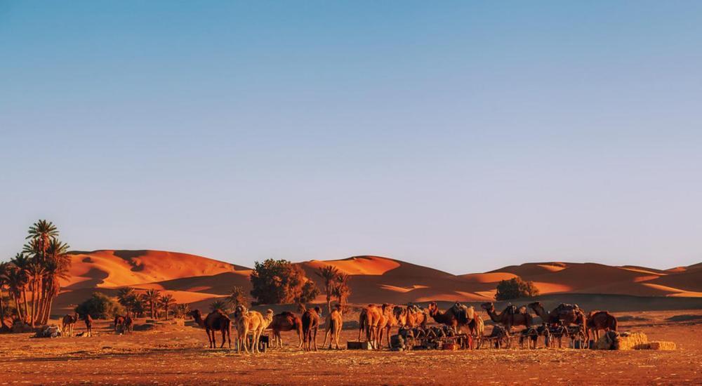 Auberge Camping Ocean Des Dunes Merzouga Dış mekan fotoğraf